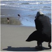 beach taking photo oregon