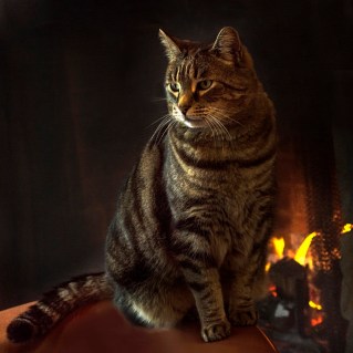 My Vineyard Friend 041416pp