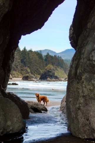 No frame needed 041616pp