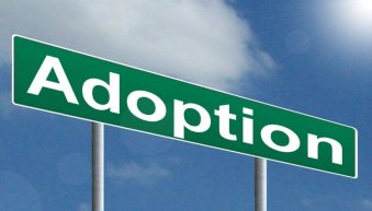 adoption