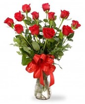 mother day rose3449497242_da27b33a6f